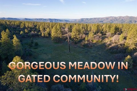 Forested Land with Meadow