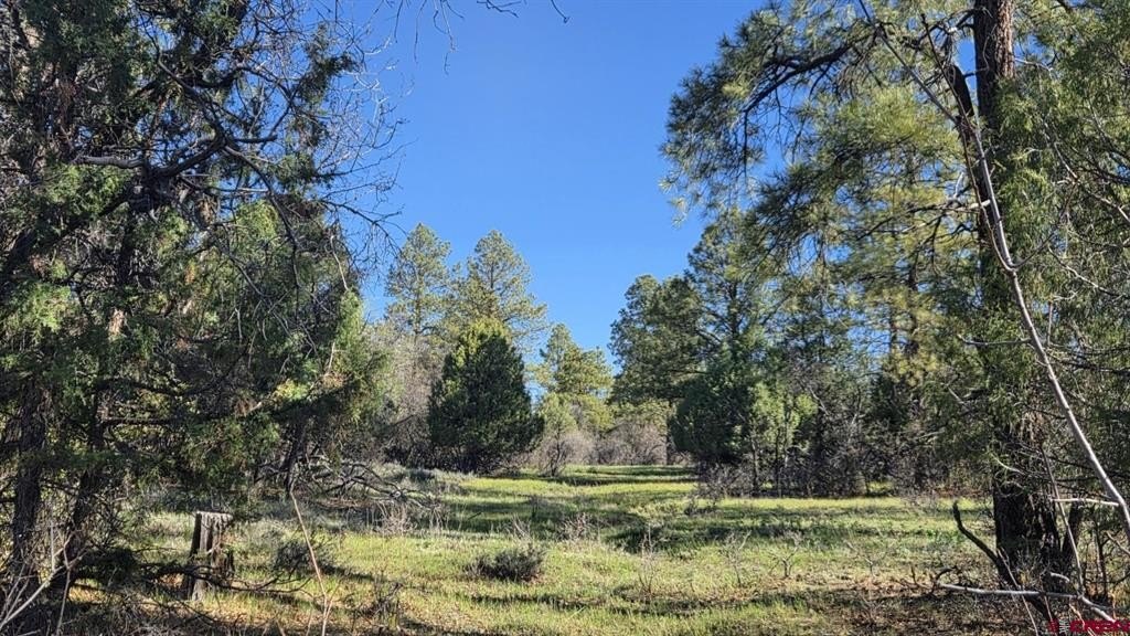 Land in Pagosa Springs, CO