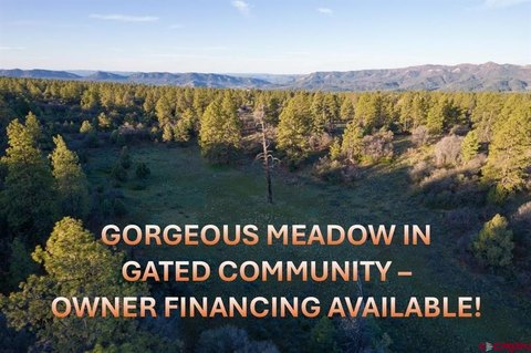 Forested Land with Meadow