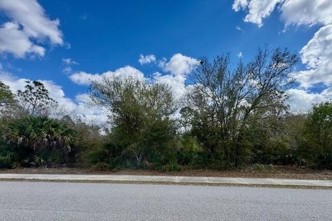 LAND - Punta Gorda, FL