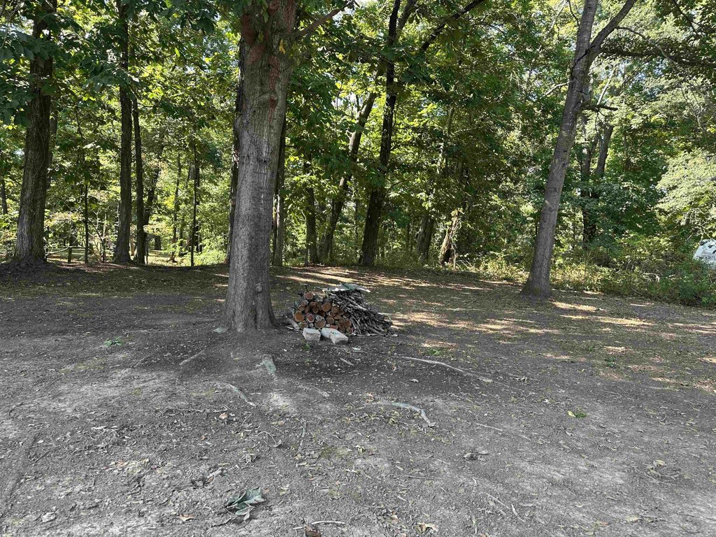 Picture 5