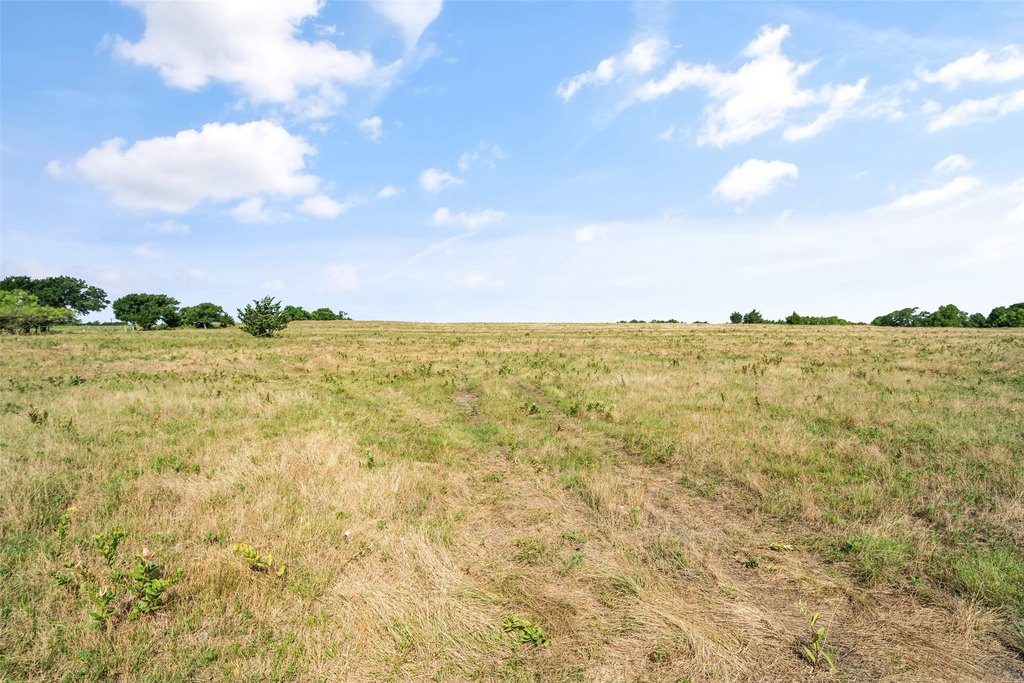 Picture 28
