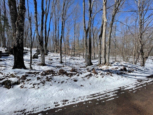 Wooded Lots Near Moose Lake