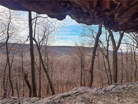 138 Acres with Creek Frontage