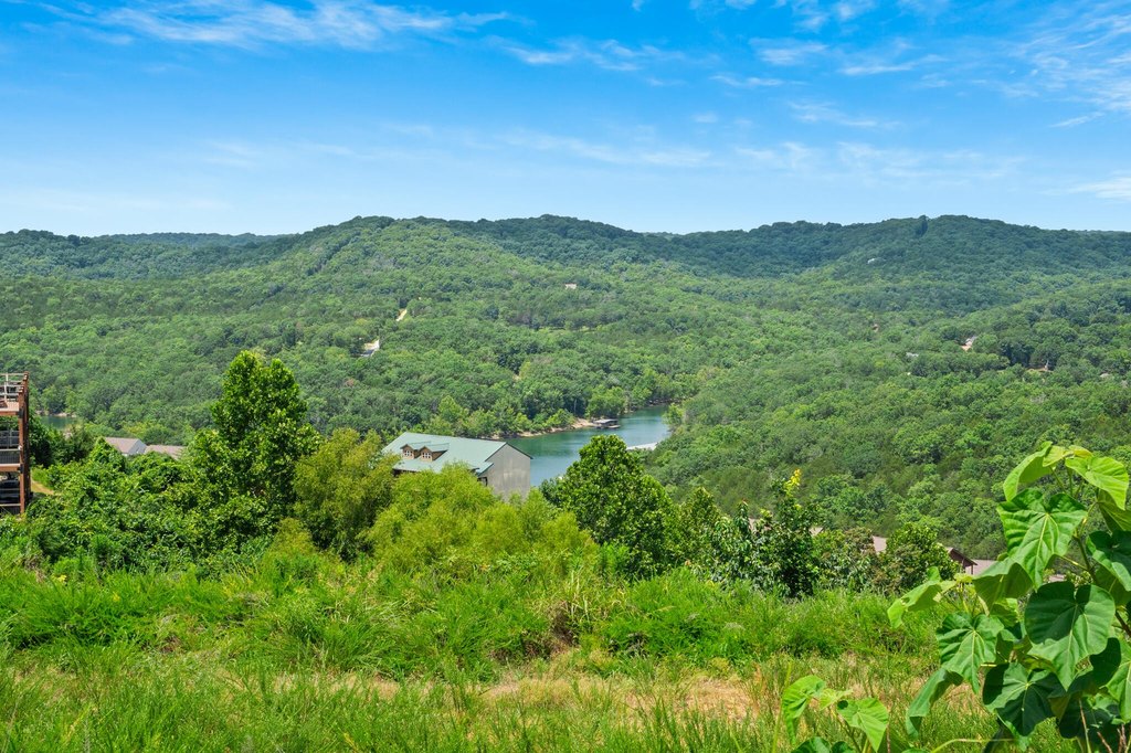 Picture 9