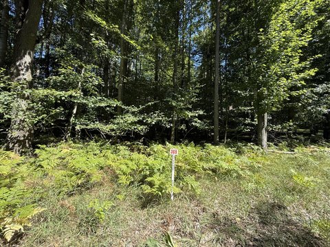Land, Stanwood, MI