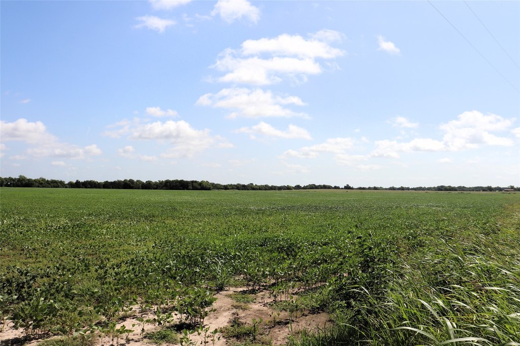 Picture 20