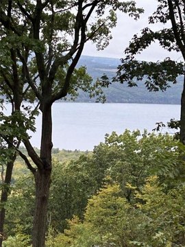 55 Acres with Seneca Lake Views