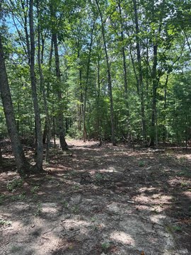 Land Near National Forest