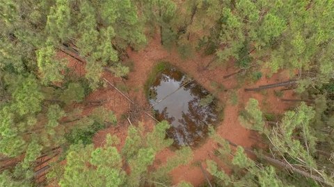 Unrestricted Recreational & Farm Land