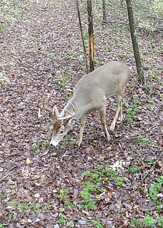 Picture 8