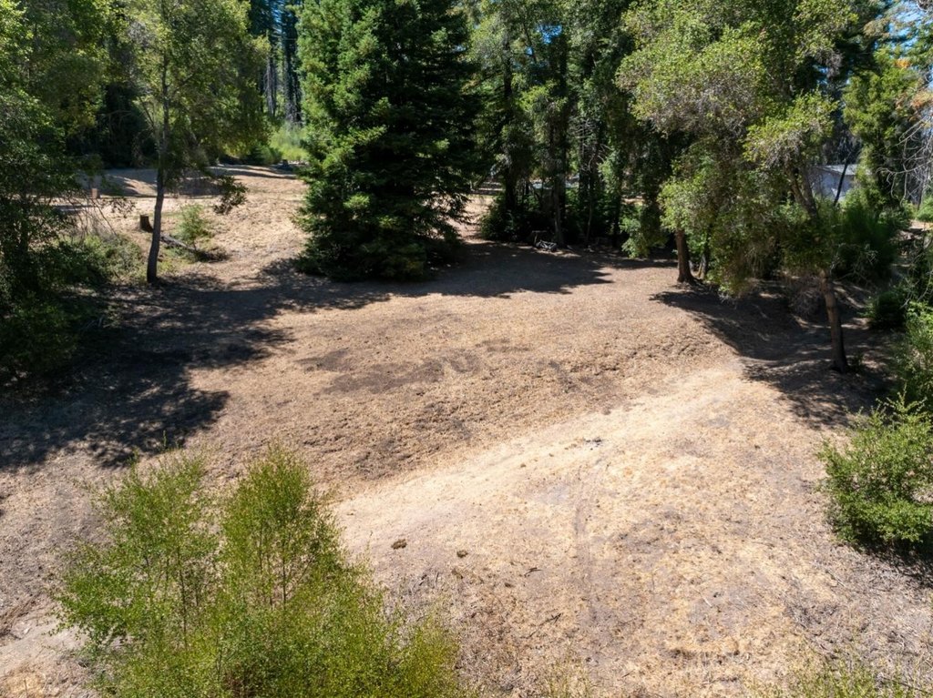 Picture 25
