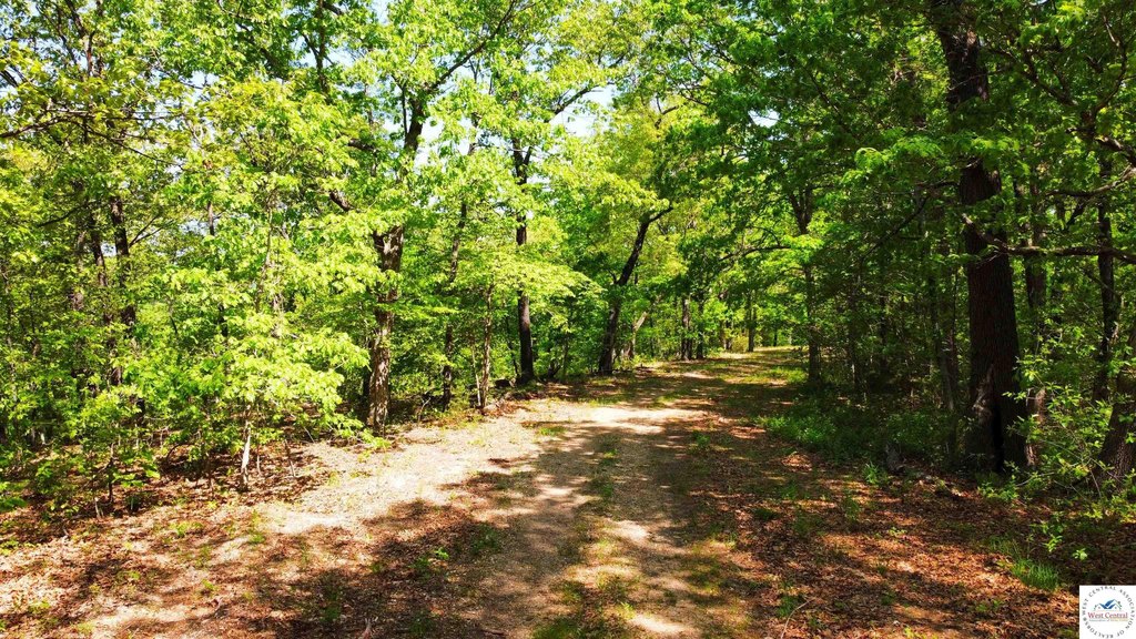 Picture 9