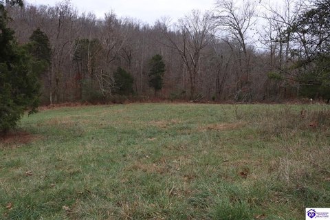 Recreational Hunting Land Tract