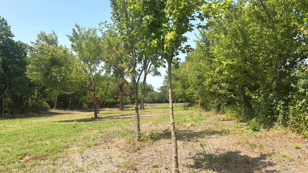Picture 4