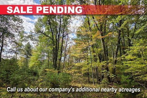 Buildable Land Near Amberg, WI