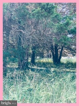 Land, BUSHWOOD, MD
