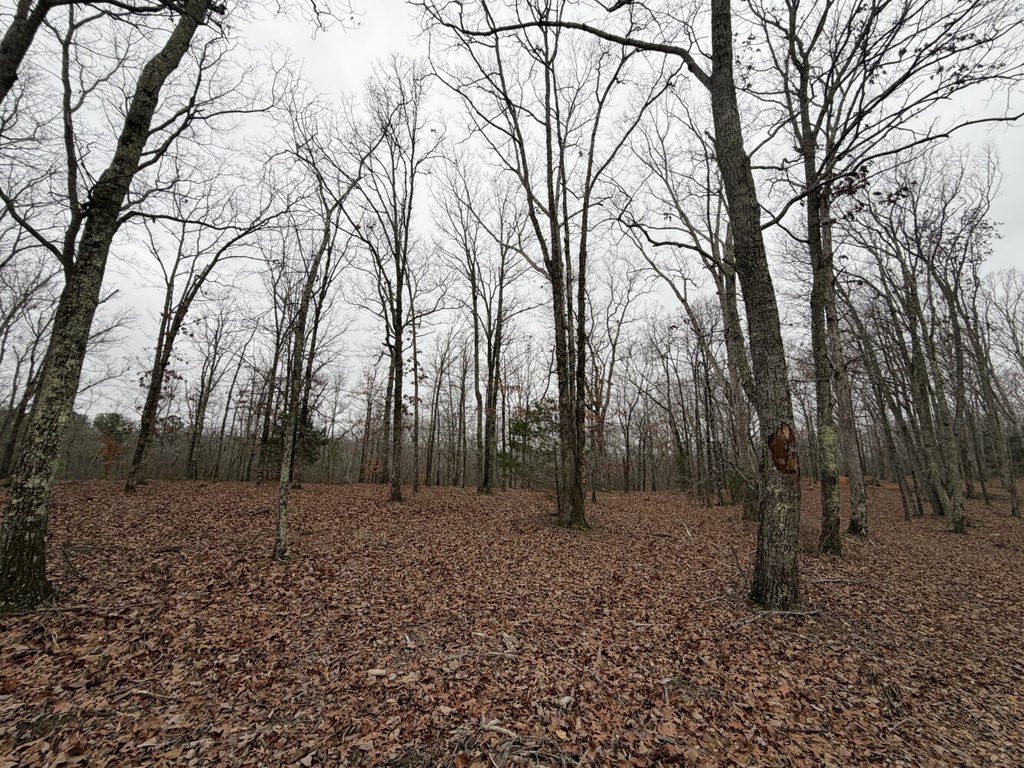 Picture 8