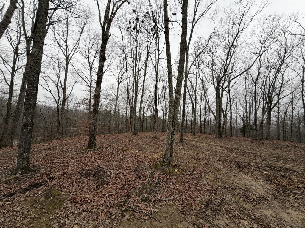 Picture 3