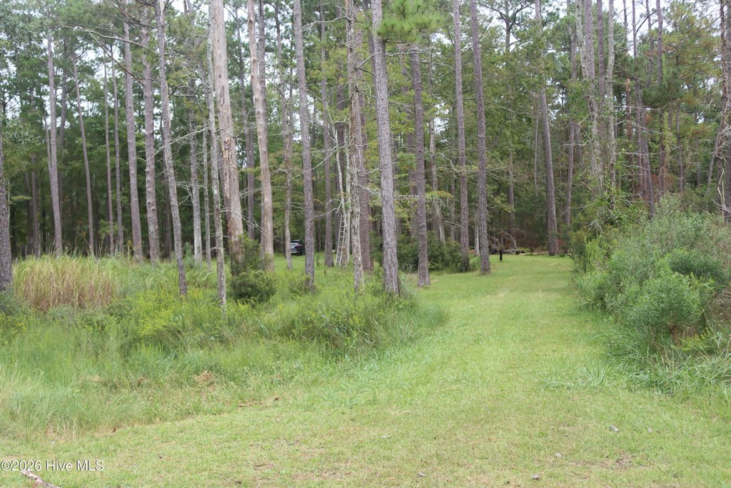 Picture 9