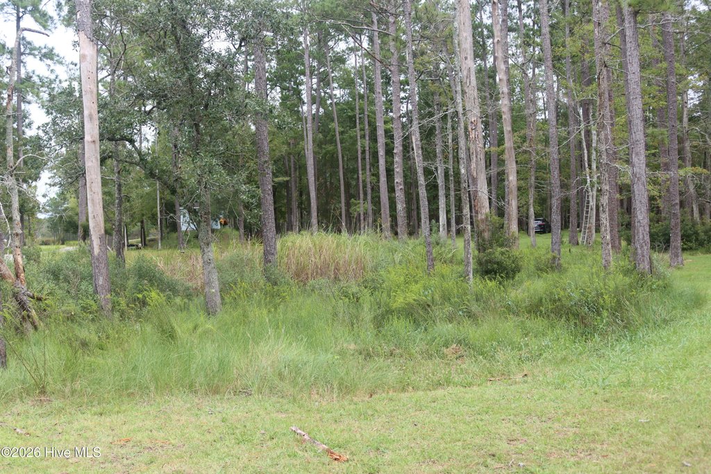 Picture 10