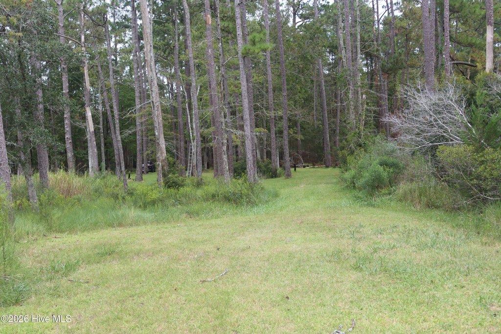 Picture 4