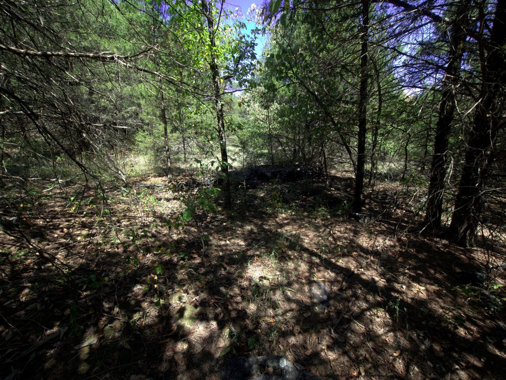 Picture 16