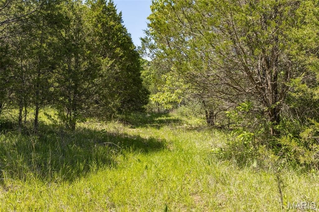 Picture 15