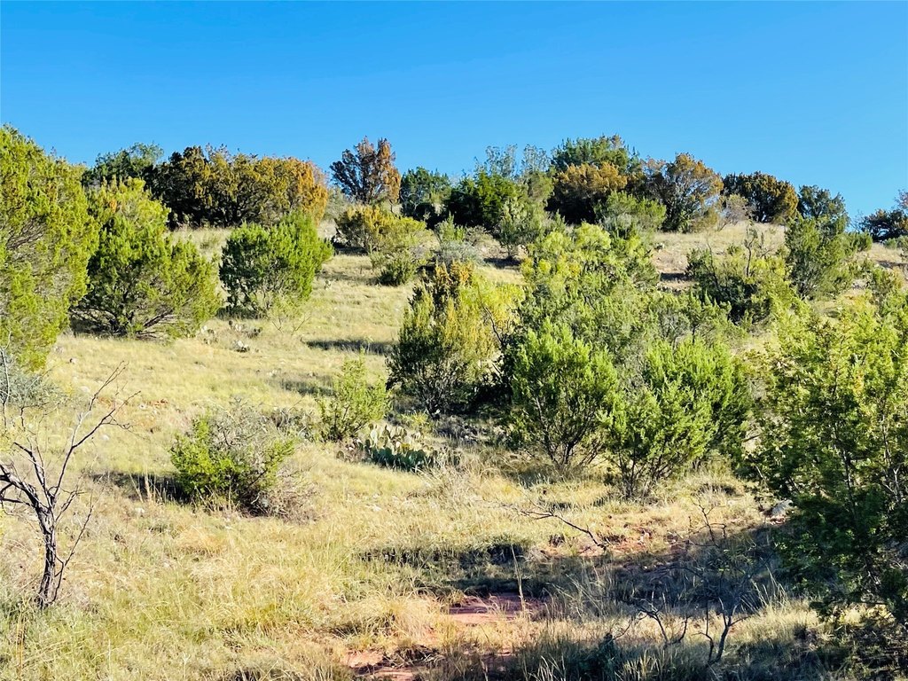 Picture 22