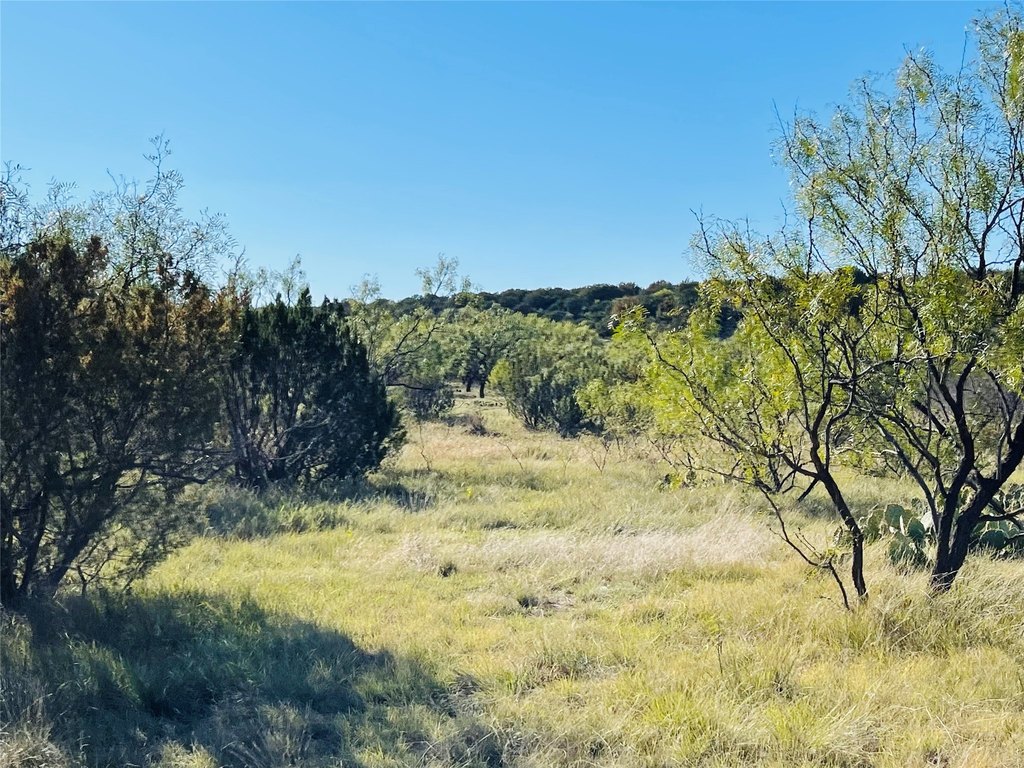 Picture 24