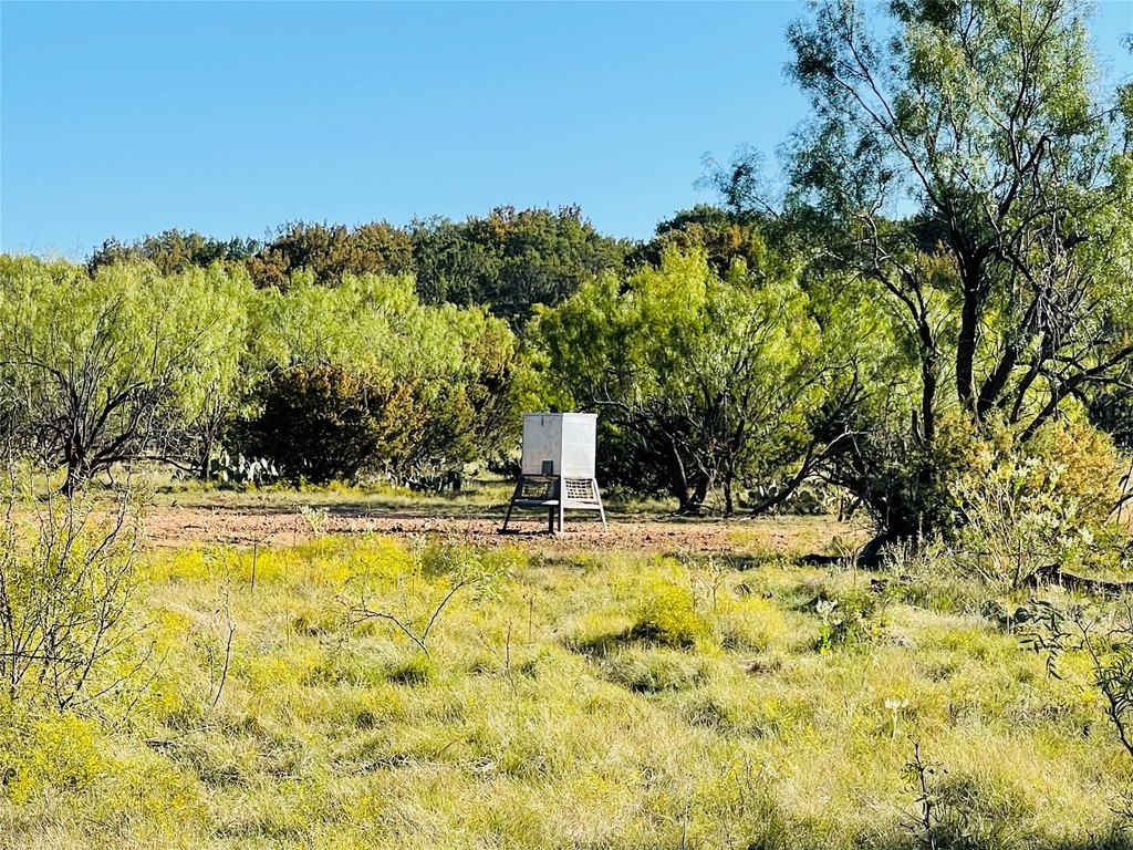 Picture 23