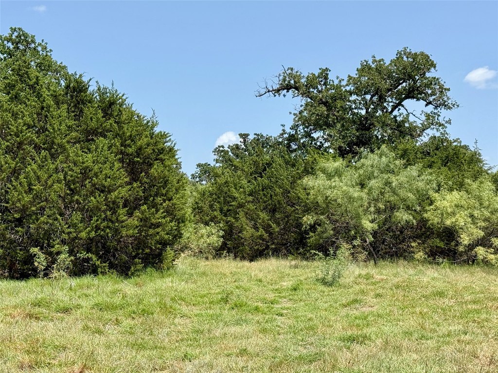 Picture 28
