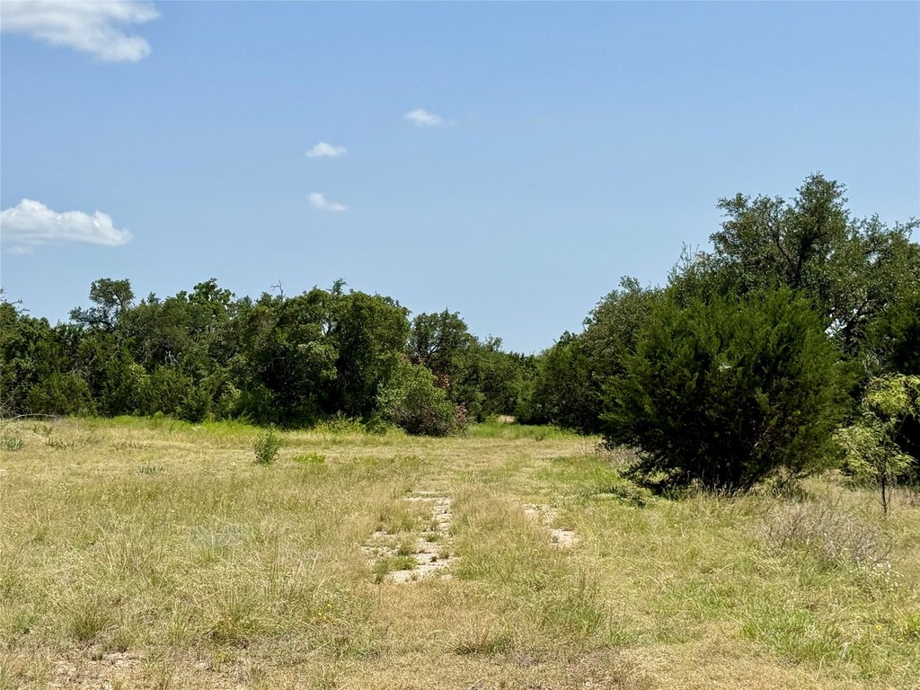 Picture 29