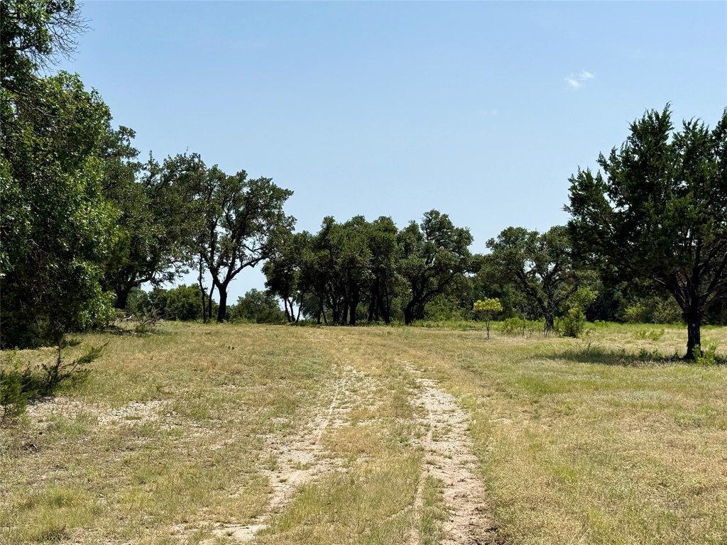 Picture 30