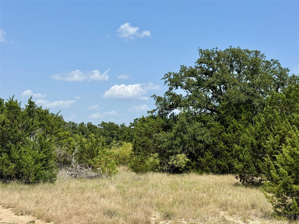 Picture 31