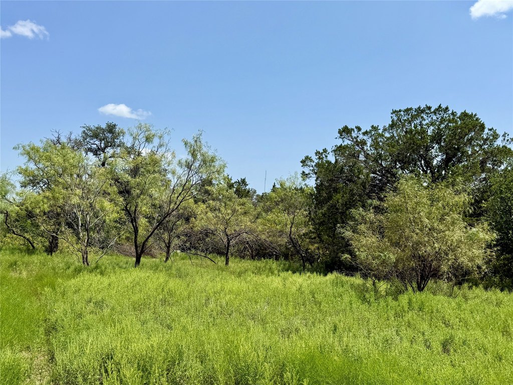 Picture 33