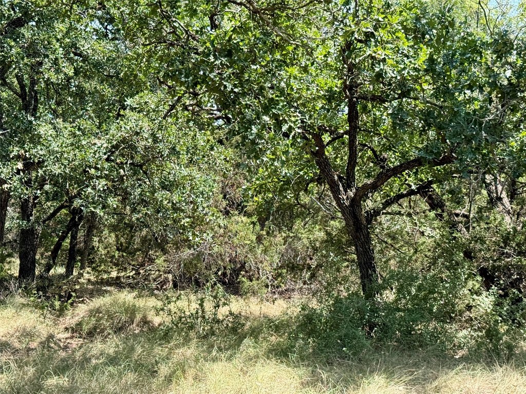 Picture 26