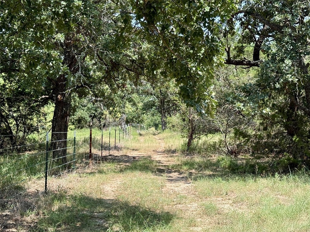 Picture 25