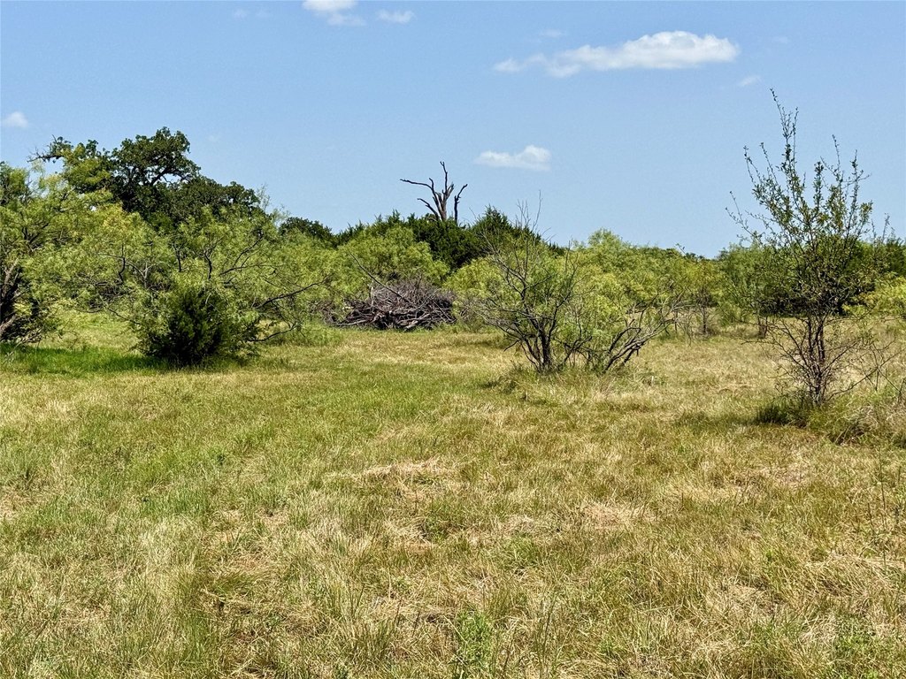 Picture 27