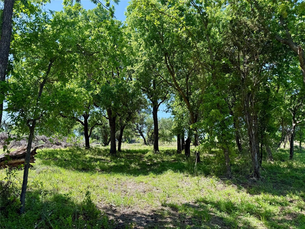 Picture 29