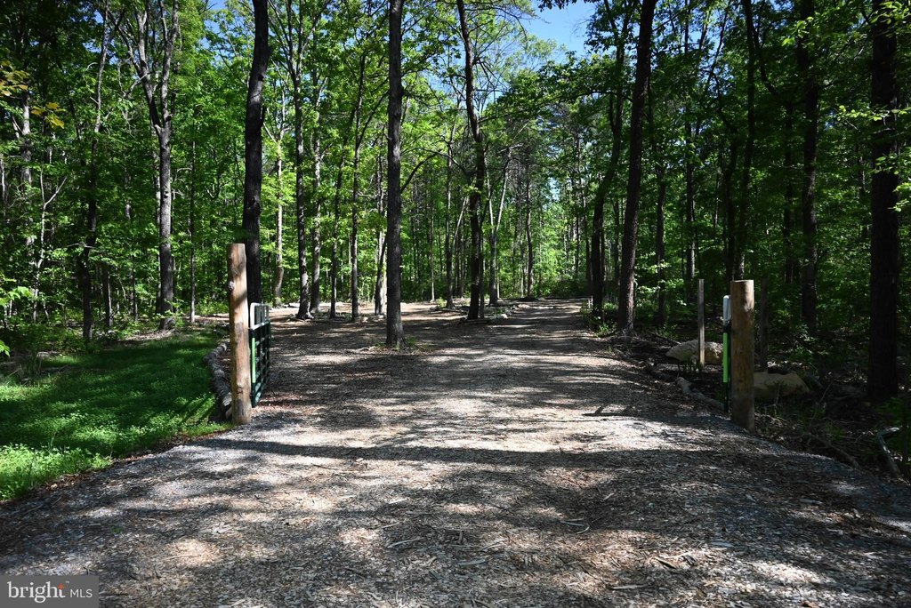 Picture 39