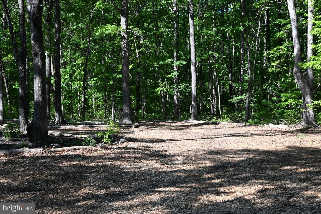 Picture 37