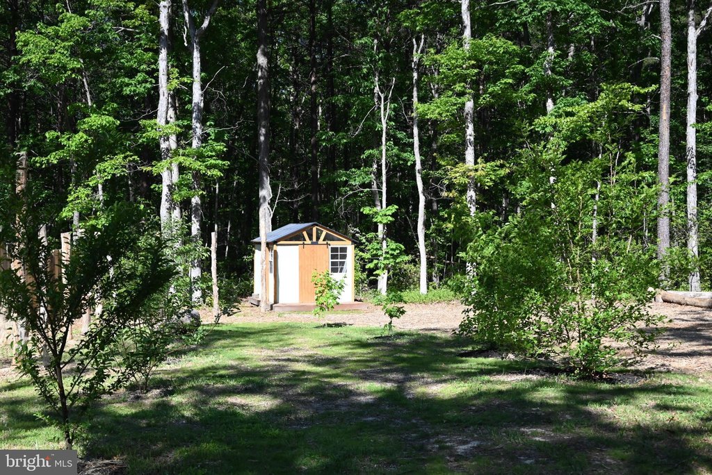 Picture 30