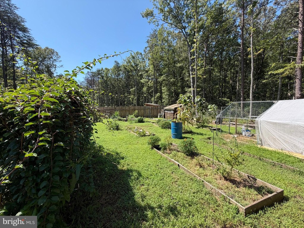 Picture 16