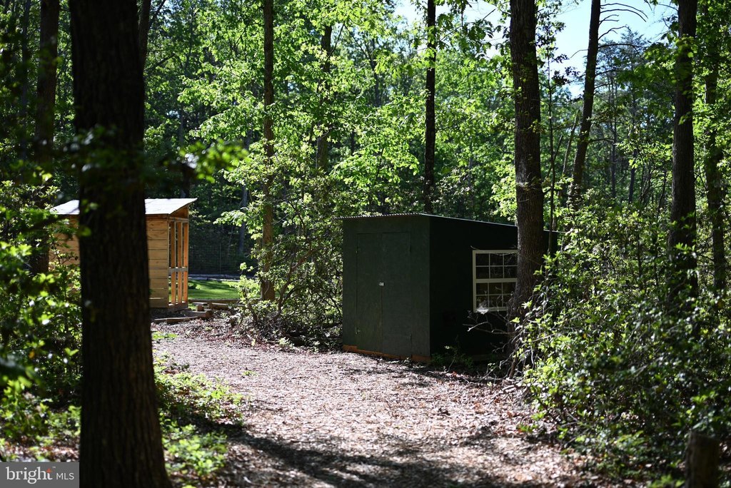 Picture 24
