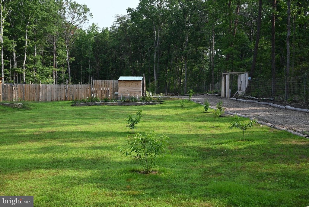 Picture 8