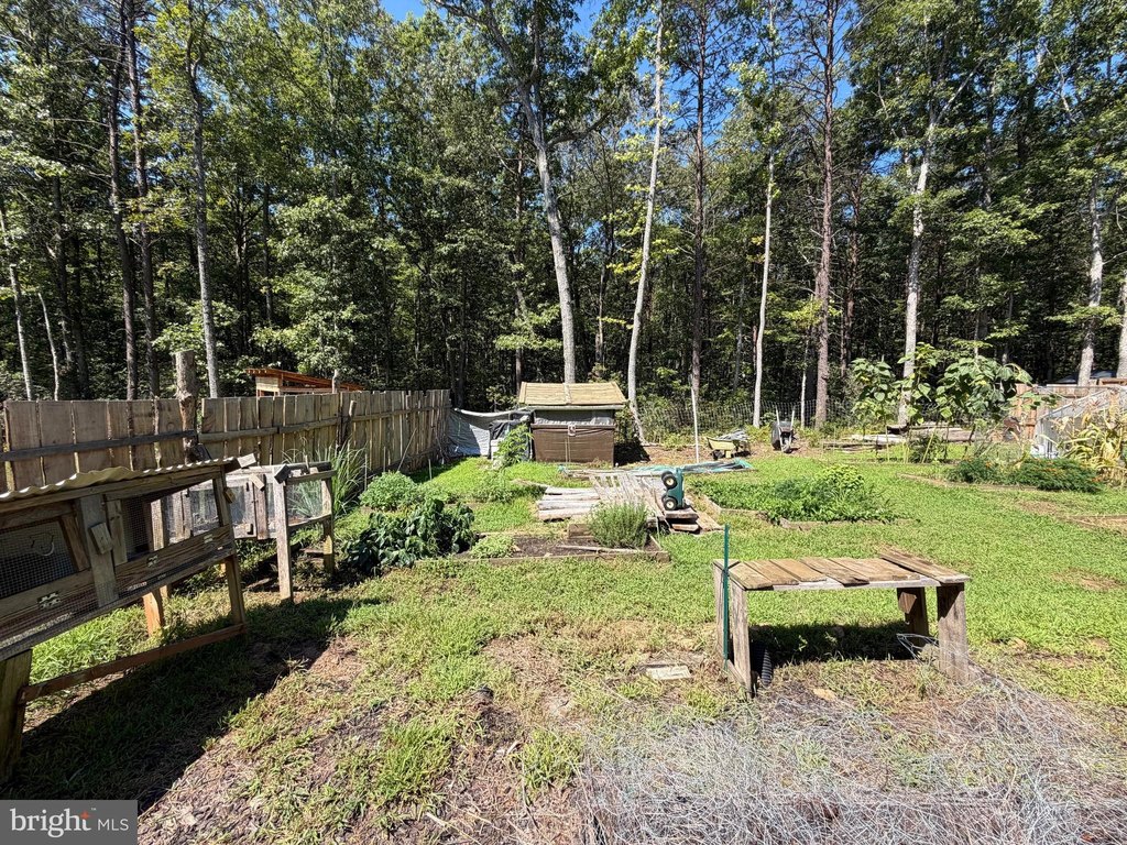 Picture 19