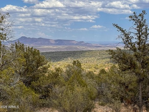 LAND - Seligman, AZ