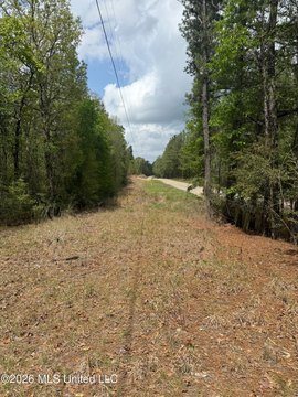 Recreational Land Tract
