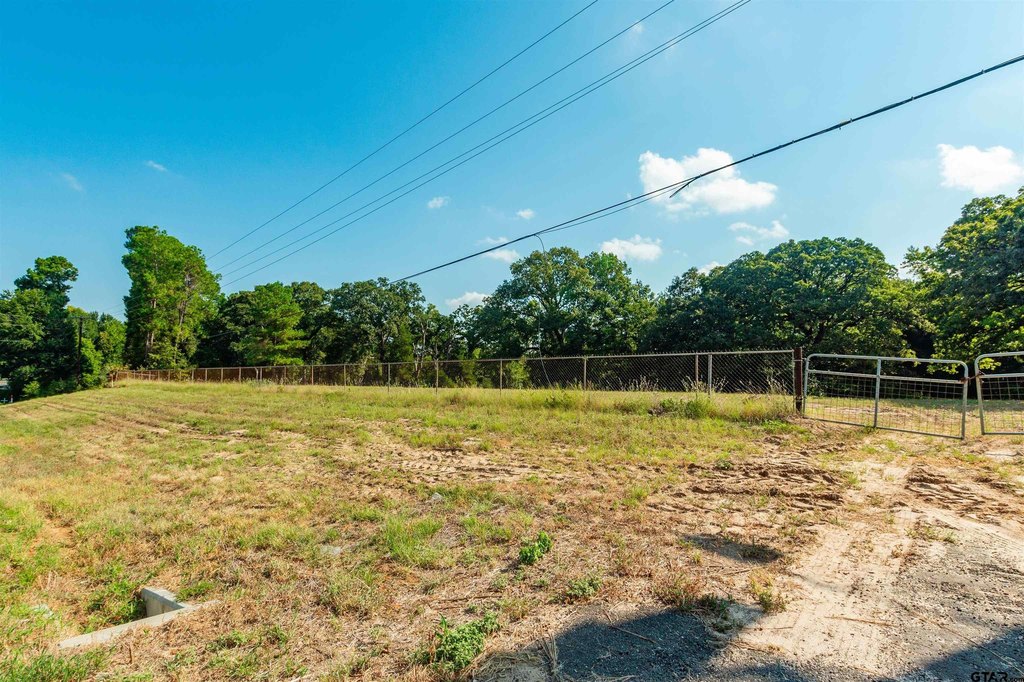 Picture 7